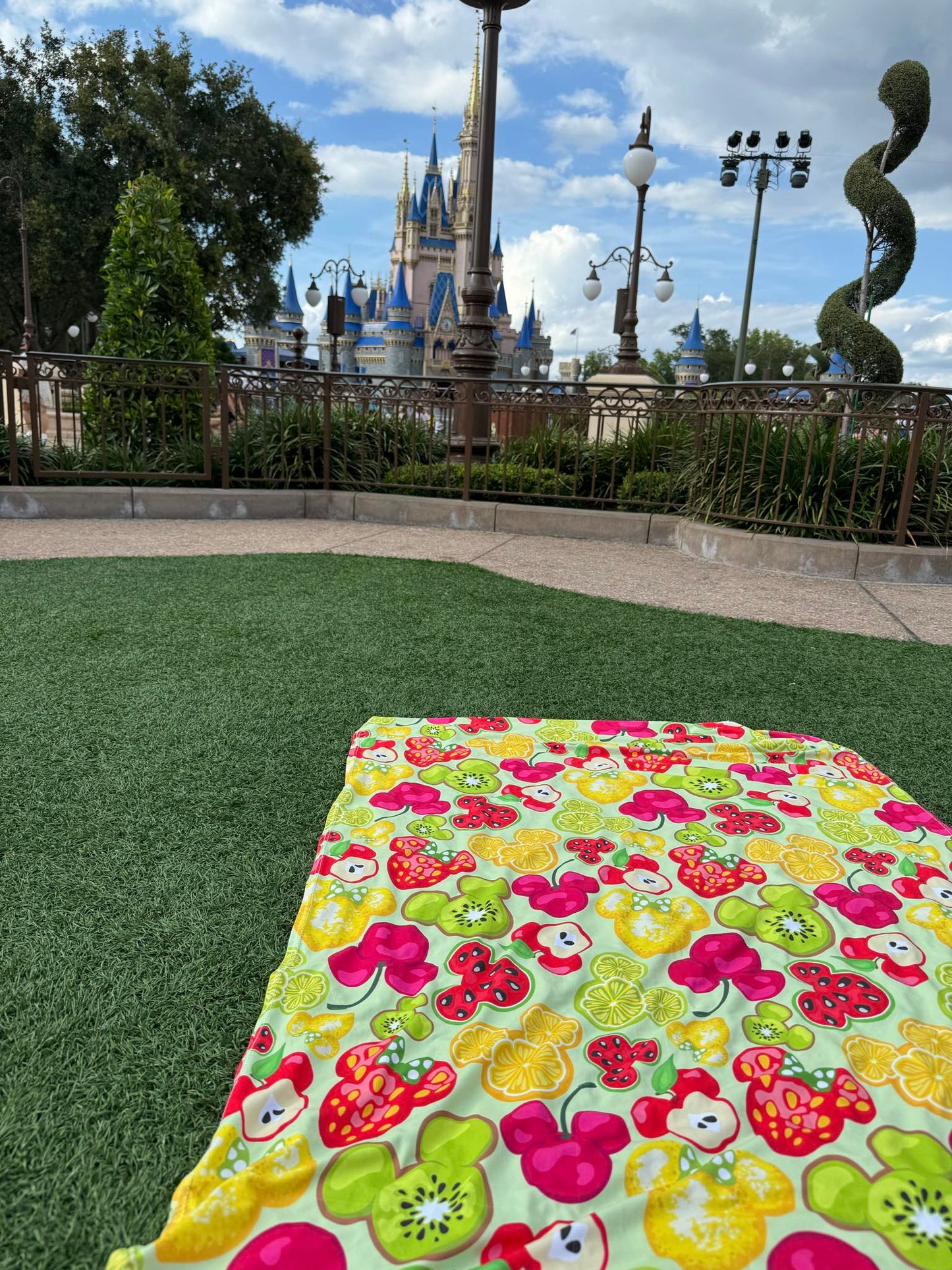 Summer Snacks Swaddle Blanket