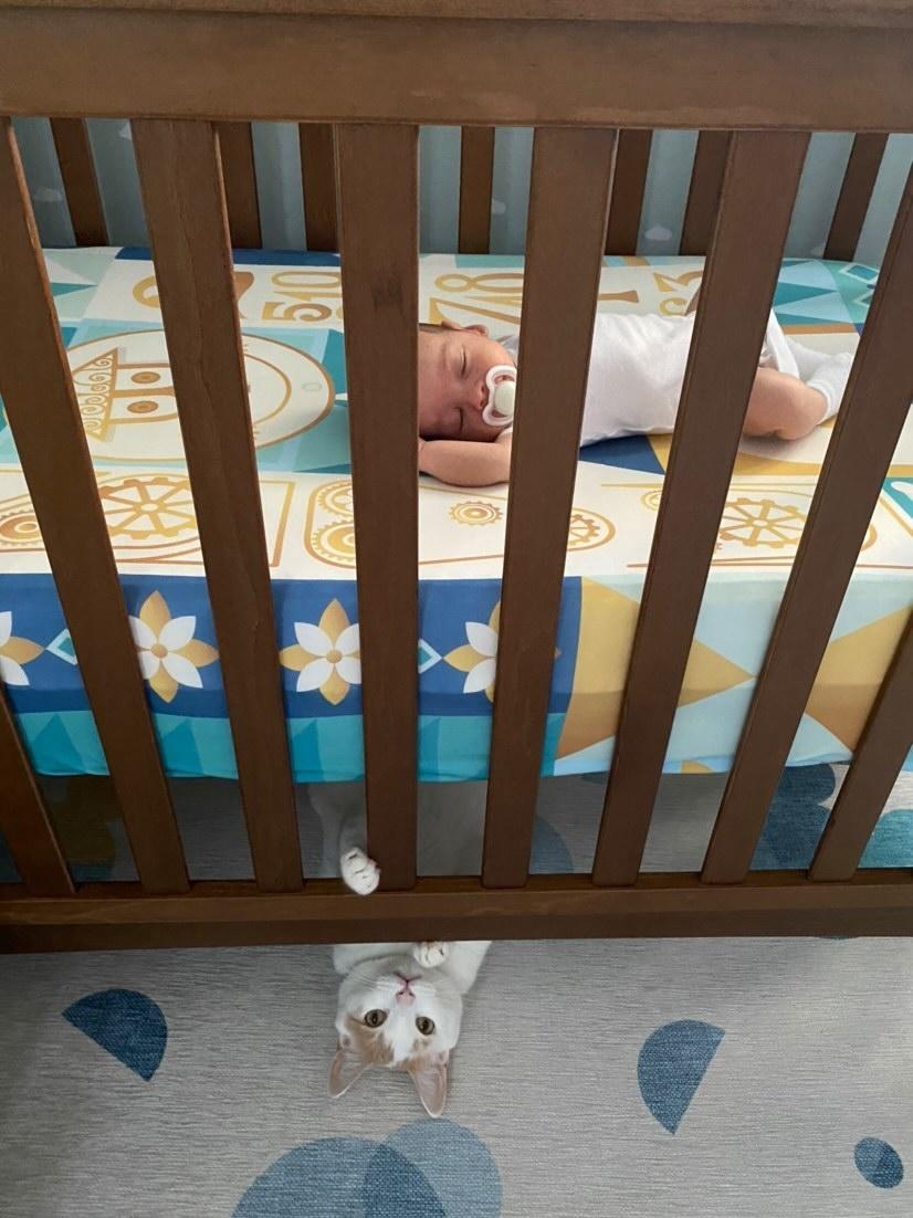 Blue It's a Small World Crib Sheet