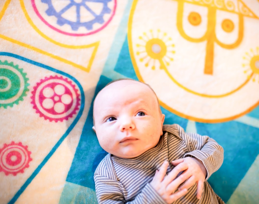 Pastel It's a Small World Minky Blanket