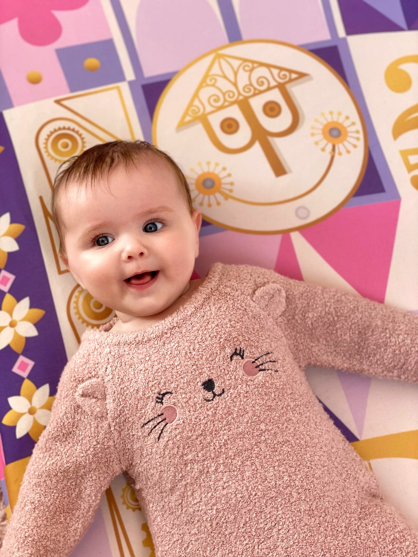 Pink It's a Small World Minky Blanket